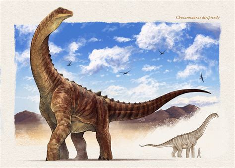 Descubren una nueva especie de dinosaurio gigante de 90 millones de ...