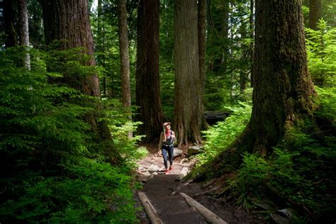 Beginner Hikes in Washington: 11 Incredible Spots - Renee Roaming