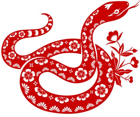 Chinese Snake Illustration