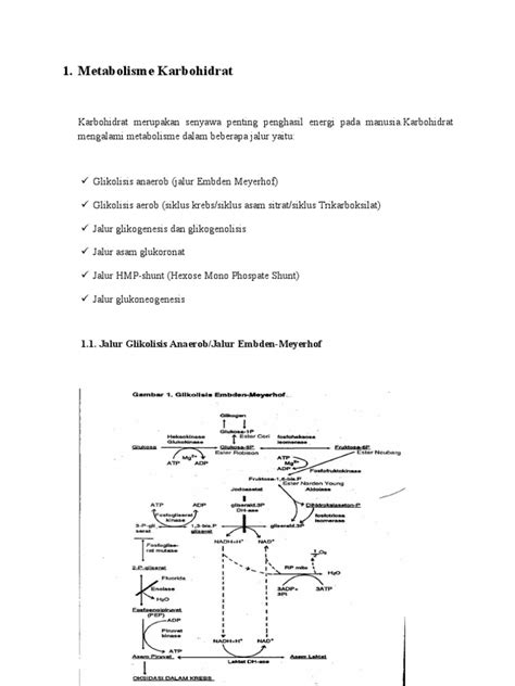 1. Metabolisme Karbohidrat: 1.1. Jalur Glikolisis Anaerob/Jalur Embden-Meyerhof