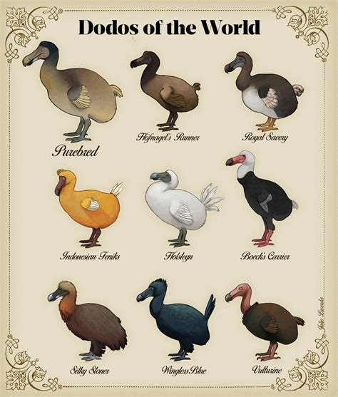 Imagine different Dodo breeds:p : r/SpeculativeEvolution