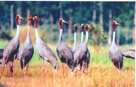 Cuc Phuong National Park- a must visit place | Vietnamimmigration.com ...