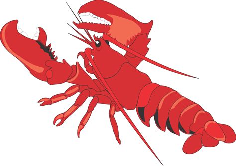 cartoon clip art lobster - Clip Art Library