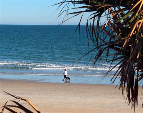 Pawleys Island Beaches - South Carolina | Pet Friendly Travel