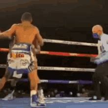 Haymaker GIFs | Tenor