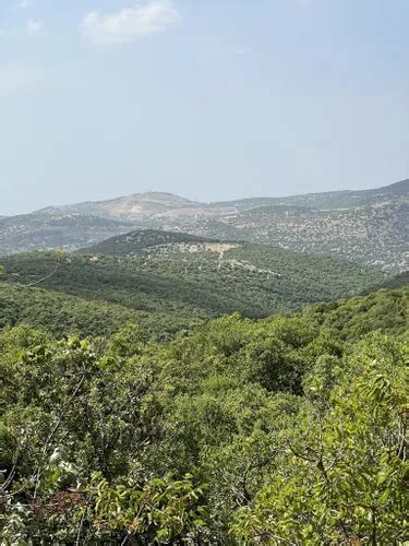 Best Hikes and Trails in Ajloun Forest Reserve | AllTrails