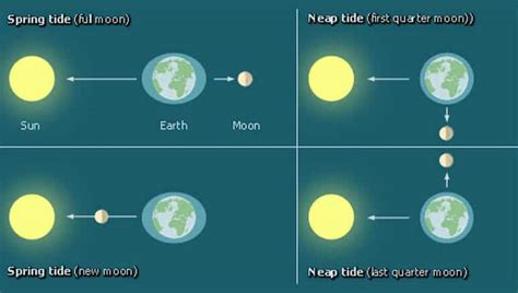 Tides: Spring & Neap Tide, Tidal Bulge, Tidal Bore - UPSC