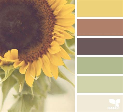 Pin by PermInk11 on Farben | Brown color palette, Brown color schemes, Seeds color
