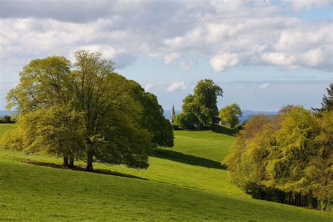 Heywood Gardens | Heritage Ireland