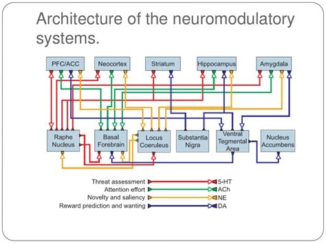 Neuromodulation