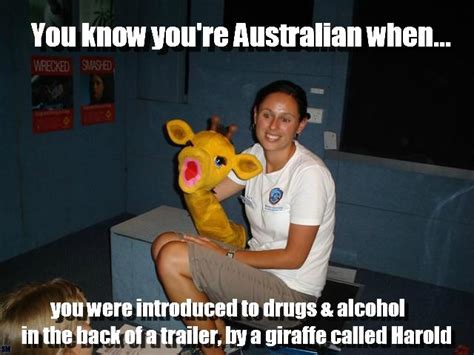 healthy harold | Aussie memes, Australia funny, Australian memes