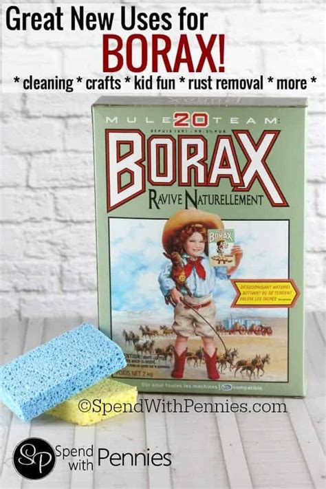 Great New Uses for Borax - Spend With Pennies