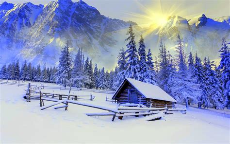 Photographie Hiver Maison Cabane Arbre Forêt Paysage Snow Montagne Soleil Sunshine Fond d'écran ...