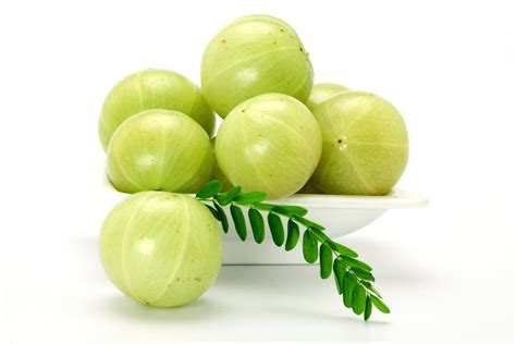 10 Benefícios da Amla (Groselha Indiana) para a Saúde - Biosom | Biosom