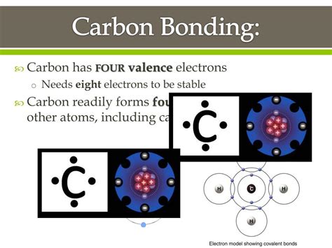 PPT - Carbon Compounds PowerPoint Presentation, free download - ID:2319022