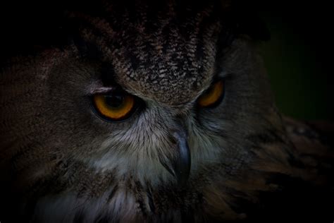 Five Reasons To Reconsider Being a Night Owl