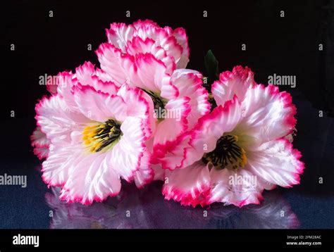 Fake backdrop hi-res stock photography and images - Alamy