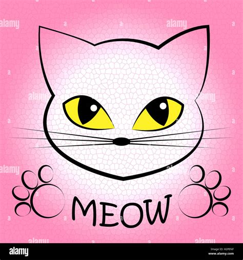 Cat Meow Meaning Feline Noise And Sound Stock Photo - Alamy