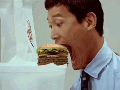 Cheezburger GIF - Find & Share on GIPHY