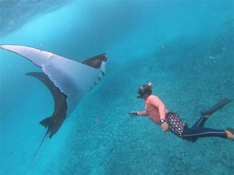 “Snorkeling Day Trip from Bali to Nusa Lembongan and Penida” | Lembonganwatersport.com