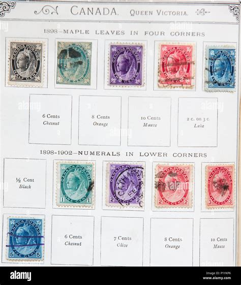 Old stamps in a stamp album Stock Photo - Alamy