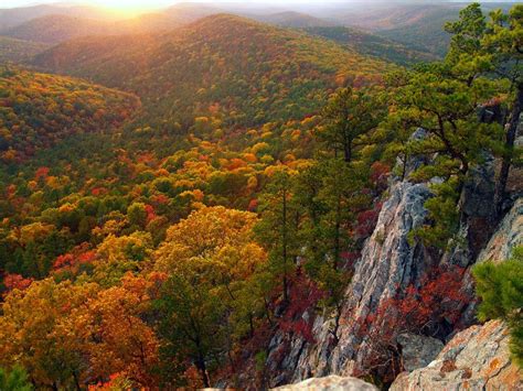 Just as the sun is about to set over the Ouachitas | National forest, Texas and People