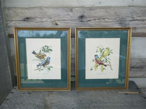 Pair of Vintage Framed Bird Prints Wall Art