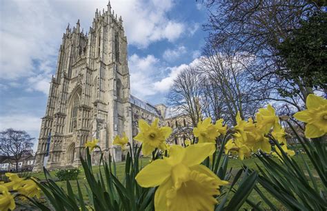 15 Best Things to Do in Beverley (Yorkshire, England) - The Crazy Tourist