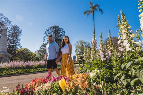 Why You Need to Visit Toowoomba Carnival of Flowers | Queensland