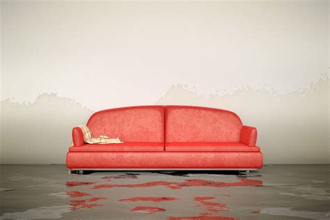 Keep Your Basement Dry with These Tips - City Building Owners Insurance