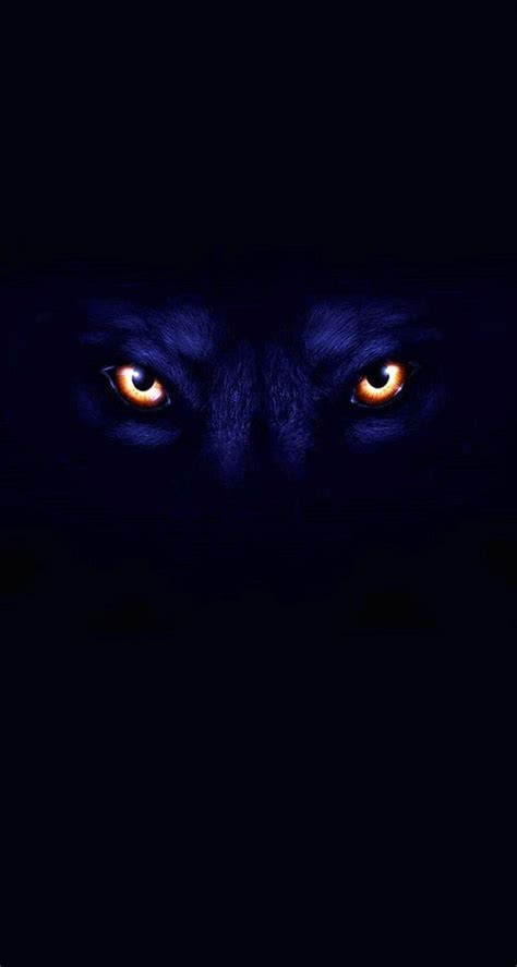 Wolf Face Wallpapers - 4k, HD Wolf Face Backgrounds on WallpaperBat