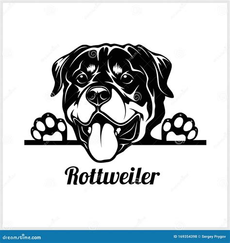 Dog Head, Rottweiler Breed, Black and White Illustration Stock Vector ...