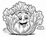 Cabbage Coloring Pages sketch template