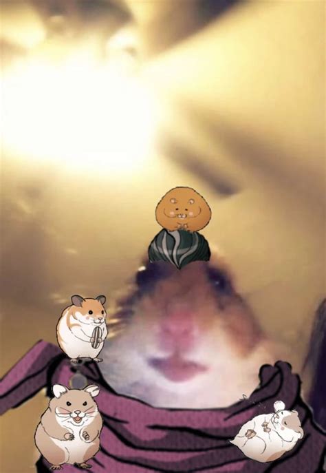 I made this gundham hamster from the video call meme