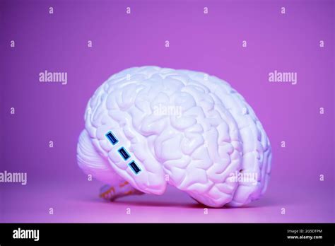 Brain computer interface hi-res stock photography and images - Alamy