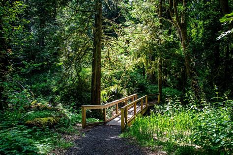 Thurston County State Parks: Tolmie State Park - ThurstonTalk