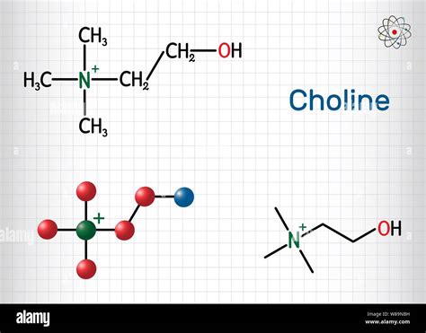 Choline vitamin-like essential nutrien molecule. It is a constituent of ...