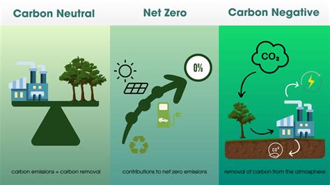 What are the differences among carbon neutral, net zero, and carbon negative? — GreenEco Investments