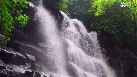 10 Hours of Soothing Waterfall Sounds for Sleeping. Nature White Noise ~ Audio relax - YouTube