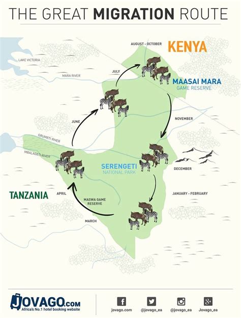 Great Wildebeest Migration Route - Masai Mara - Serengeti #Migration # ...