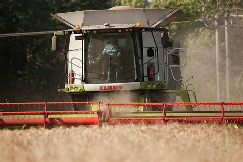 Wheat Harvesting Photograph by Lewis Houghton/science Photo Library | Fine Art America