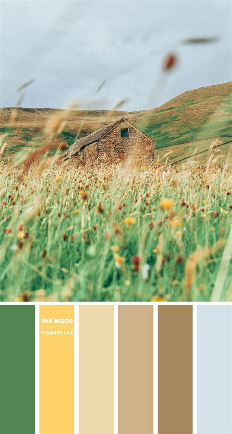 an image of a field with grass and flowers in the foreground, color swatches