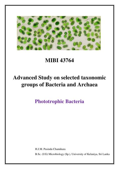 (PDF) Phototrophic bacteria