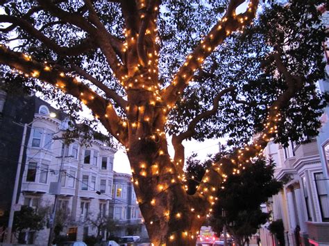 15 Inspirations Hanging Lights on Large Outdoor Tree