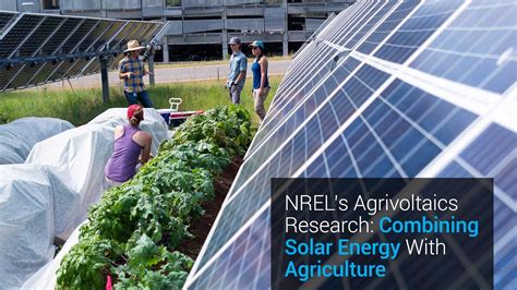 NREL’s Agrivoltaics Research: Combining Solar Energy With Agriculture - YouTube