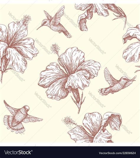 Seamless pattern with flying humming birds Vector Image