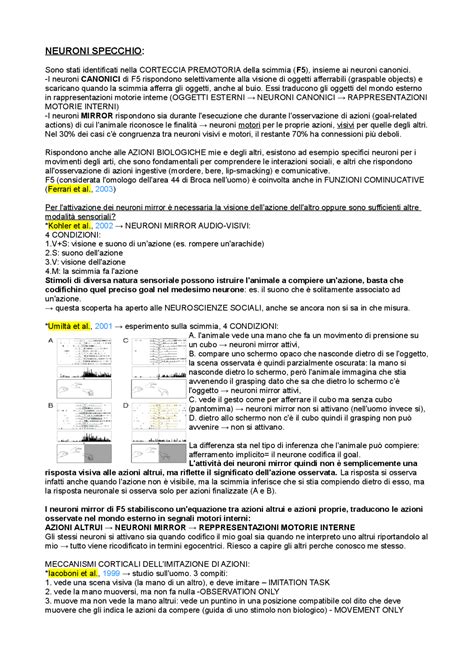 Neuroni mirror neuroscienze - Docsity