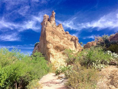 Boyce Thompson Arboretum State Park. Superior, AZ. April 2017 | State parks, Monument valley ...