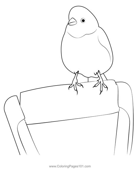 Yellowhammer Bird Coloring Page for Kids - Free Buntings Printable ...