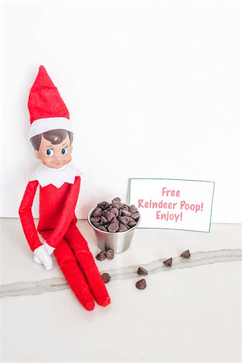 Elf-on-the-Shelf-Ideas-for-Home-Reindeer-Poop-2 - Mom Envy